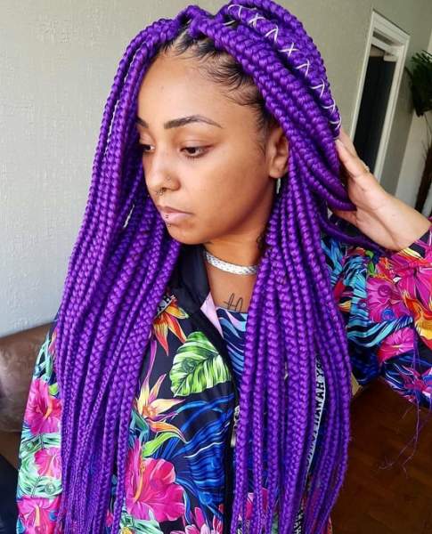 65 Different Types Braided Hairstyles for Women 2025