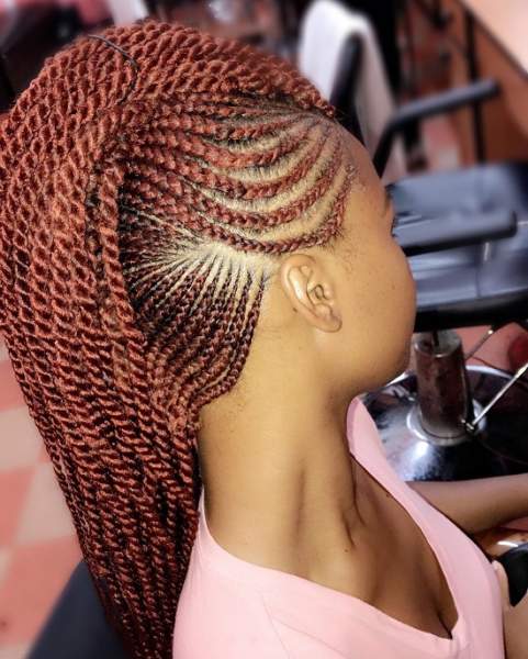 65 Different Types Braided Hairstyles for Women 2025