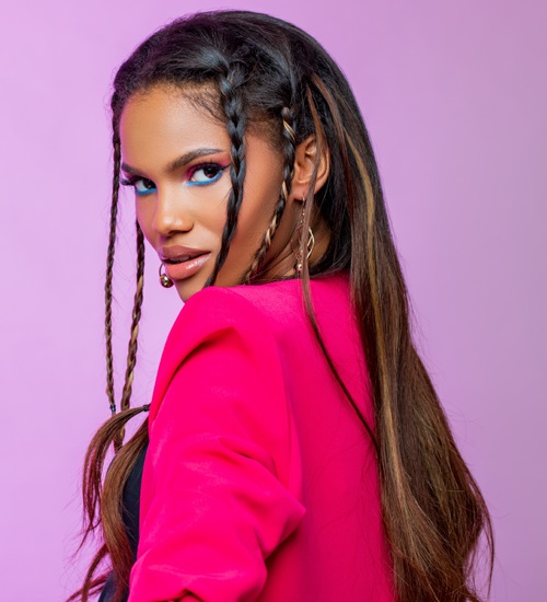 15 Popular Black Color Braided Hairstyles for Women