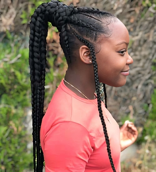 15 Popular Black Color Braided Hairstyles for Women
