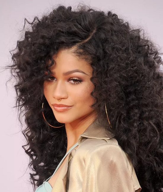20 All Time Best Zendaya Hairstyles (Braid, Bob Etc..)