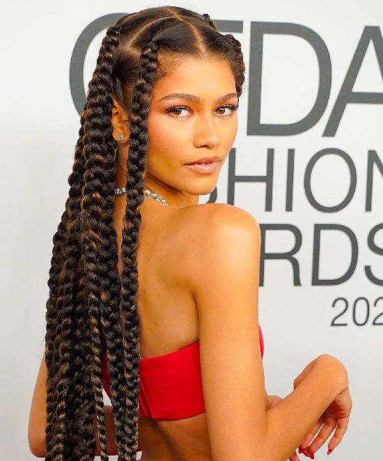 20 All Time Best Zendaya Hairstyles (Braid, Bob Etc..)