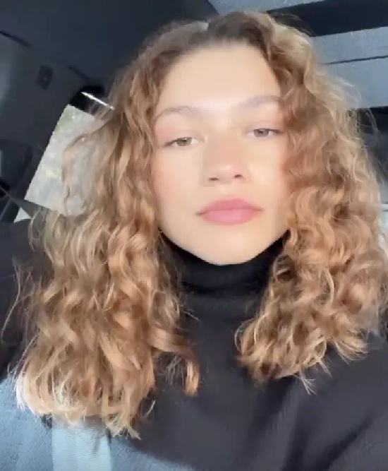 20 All Time Best Zendaya Hairstyles (Braid, Bob Etc..)