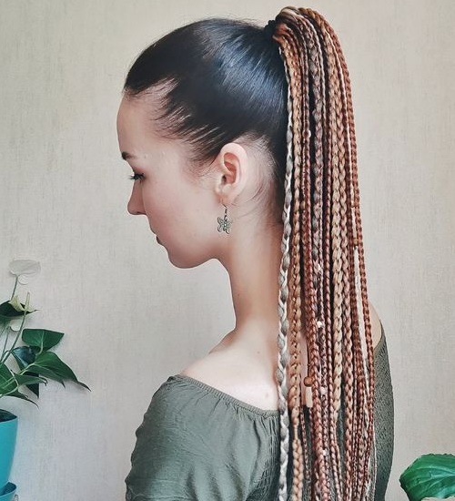 Braided Ponytail Hairstyles: 15 Creative Options for a Unique Look