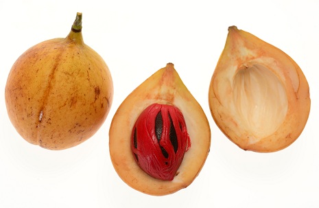 10 Best Cinnamon Face Packs Suitable for All Skin Types