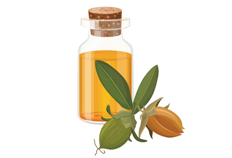 Is Jojoba Oil Good For Face Wrinkles And Acne Skin?