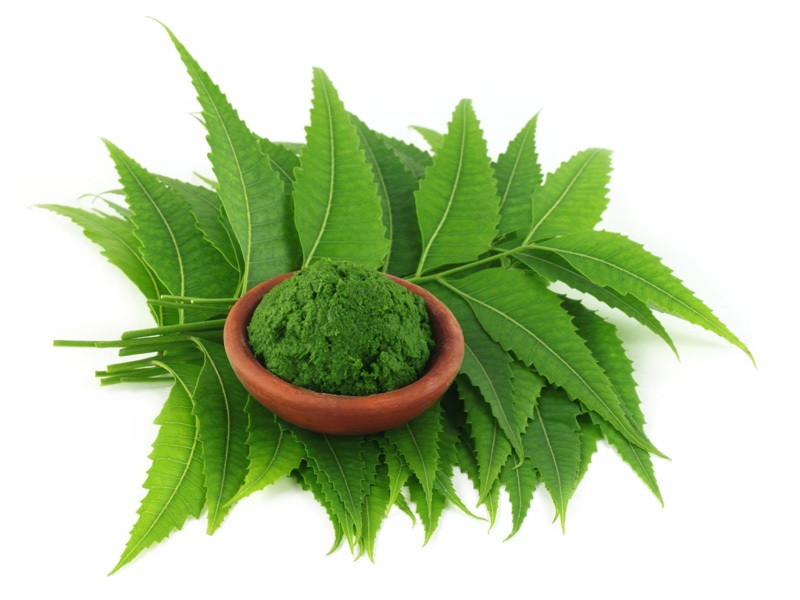 12 Best Shahnaz Hussain Tips for Glowing Skin | I Fashion Styles