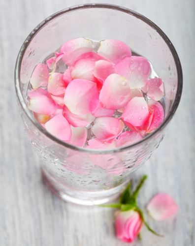 15 Best and Safe Homemade Toners for Oily Skin | I Fashion Styles