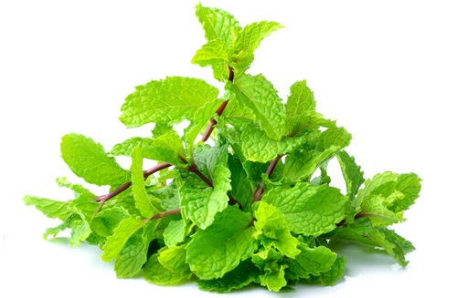 15 Best and Safe Homemade Toners for Oily Skin | I Fashion Styles