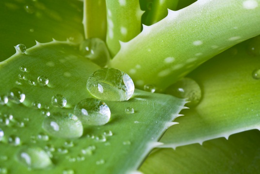 How To Remove Pimples (Acne) In One Day