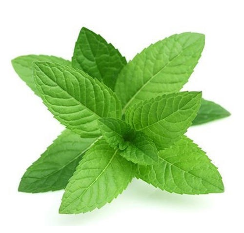 10 Best Herbal Remedies for Treating Acne | I Fashion Styles