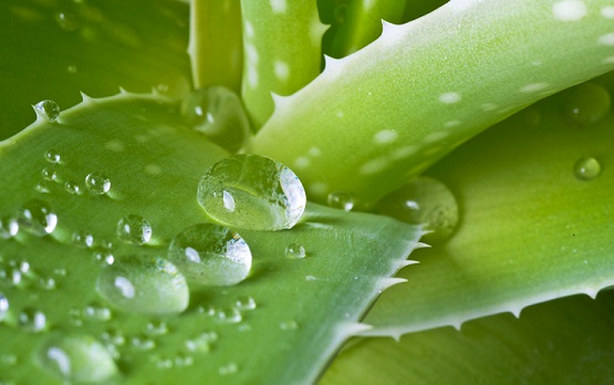 14 Best Home Remedies To Remove Tan From Hands