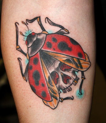 10+ Most Beautiful Insect Tattoos for Women and Men