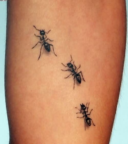 10+ Most Beautiful Insect Tattoos for Women and Men