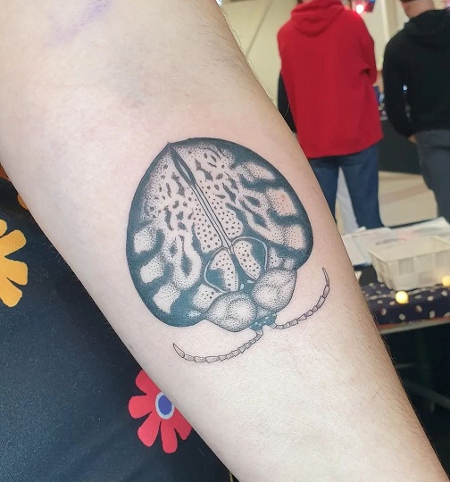 10+ Most Beautiful Insect Tattoos for Women and Men