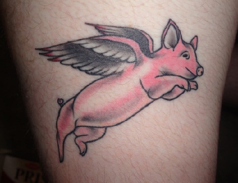 Top 9 Funny &amp; Rough Look Pig Tattoo Designs With Images