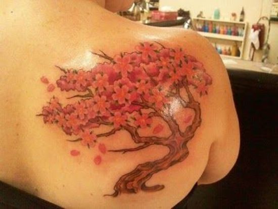 15+ Best Cherry Blossom Tattoo Designs With Meanings