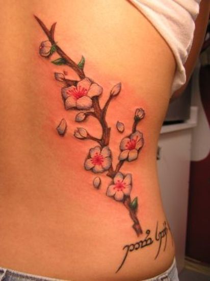 15+ Best Cherry Blossom Tattoo Designs With Meanings