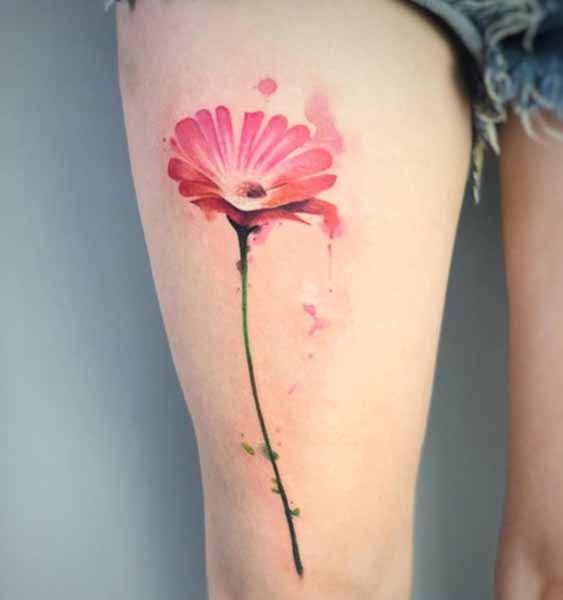 15 Trending Gerbera Flower Tattoo Designs With Meanings