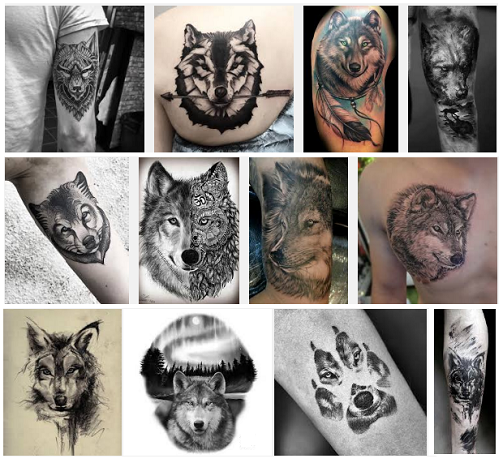 20 Best Wolf Tattoo Designs With Meanings | I Fashion Styles