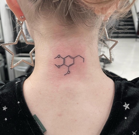 10 Stylish Chemistry Tattoo Designs for Men and Women