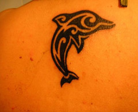15+ Amazing Dolphin Tattoo Designs and their Meanings