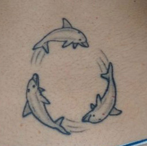 15+ Amazing Dolphin Tattoo Designs and their Meanings