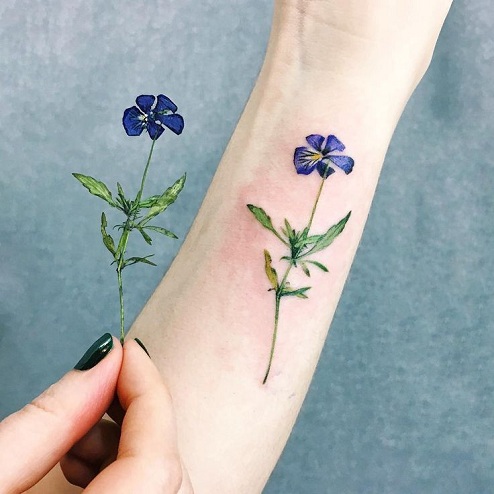 10 Ravishing Pansy Tattoo Designs With Images | I Fashion Styles