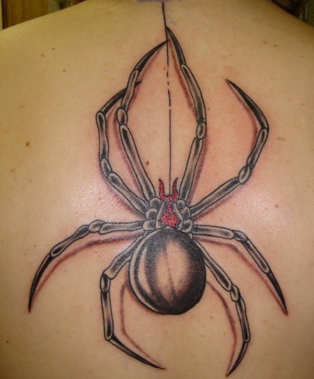 15 Popular Spider Tattoo Designs With Meanings
