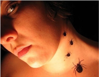15 Popular Spider Tattoo Designs With Meanings