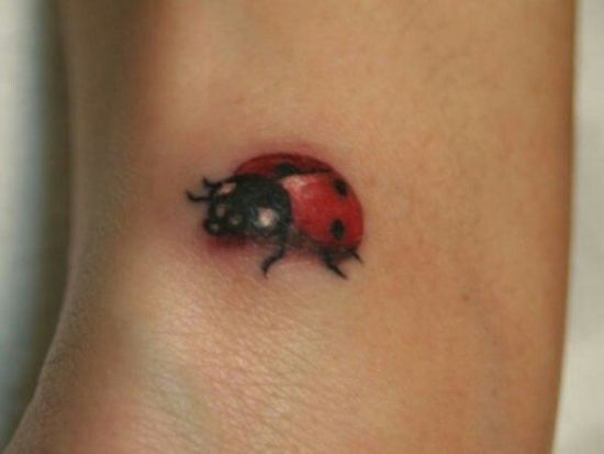 10 Realistic Ladybug Tattoo Designs for Nature Lovers