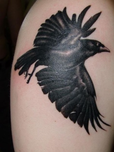 Top 9 Raven Tattoo Designs With Meanings | I Fashion Styles