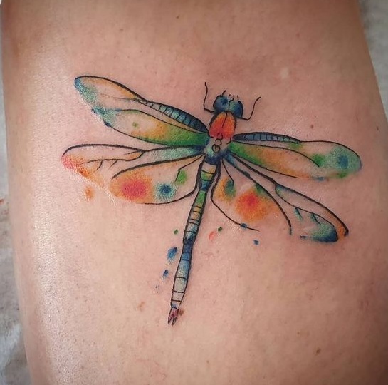 Top 15 Beautiful Dragonfly Tattoo Designs and Ideas