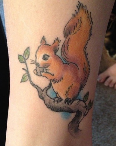 9 Cute Squirrel Tattoo Designs, Ideas And Meanings