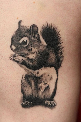 9 Cute Squirrel Tattoo Designs, Ideas And Meanings