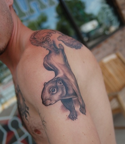 9 Cute Squirrel Tattoo Designs, Ideas And Meanings