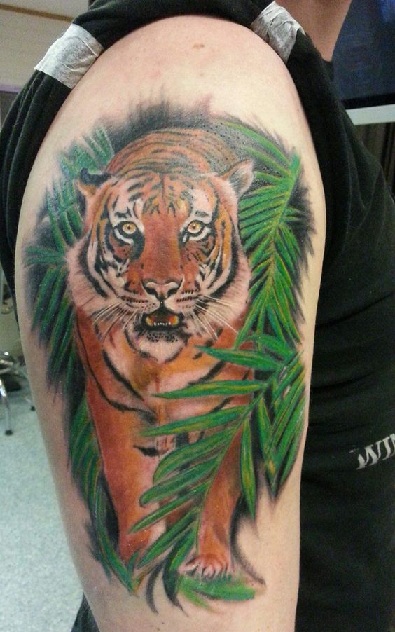 15 Best Tiger Tattoo Designs and Ideas with Images