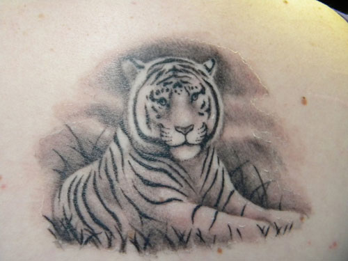 15 Best Tiger Tattoo Designs and Ideas with Images