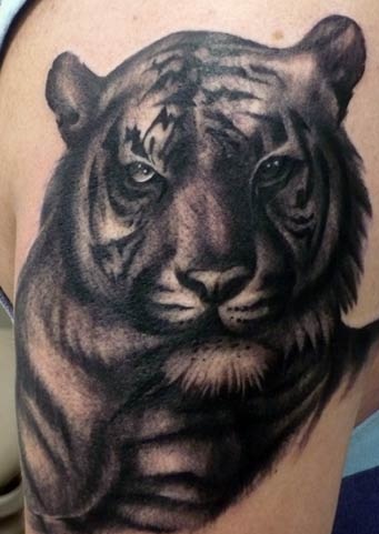 15 Best Tiger Tattoo Designs and Ideas with Images