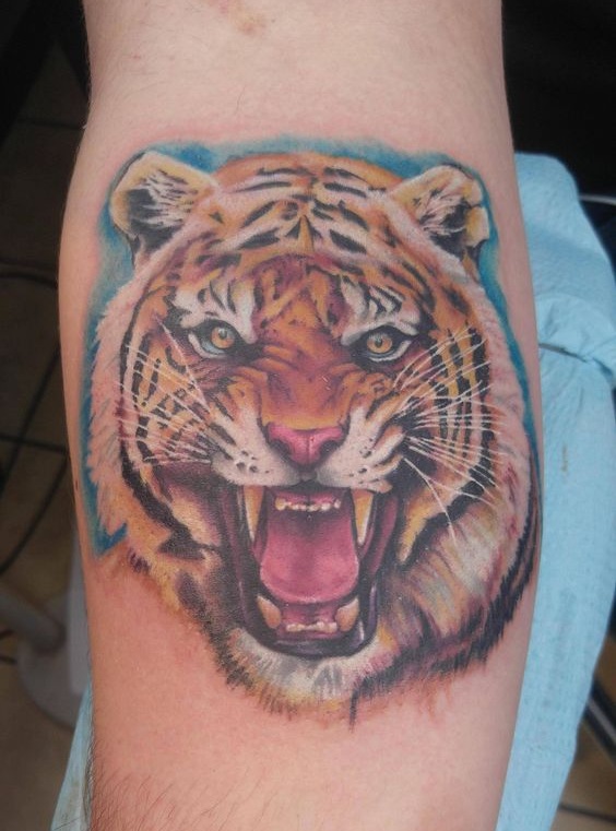 15 Best Tiger Tattoo Designs and Ideas with Images