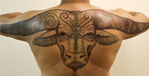 15+ Best Bull Tattoo Designs And Their Meanings