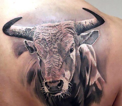 15+ Best Bull Tattoo Designs And Their Meanings