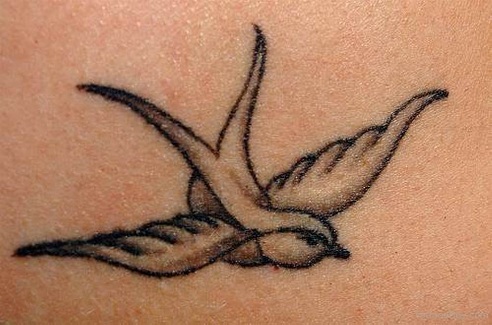 Top 15 Cute Sparrow Tattoos Meaning and Designs