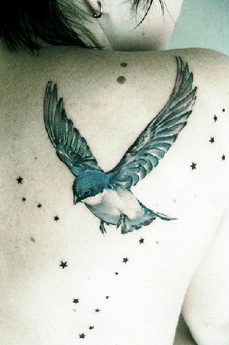 Top 15 Cute Sparrow Tattoos Meaning and Designs