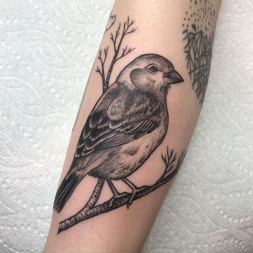 Top 15 Cute Sparrow Tattoos Meaning and Designs