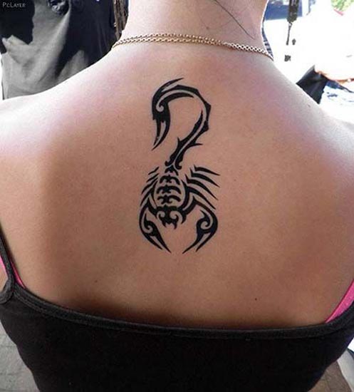 10+ Unforgettable Scorpion Tribal Tattoo Designs and Ideas