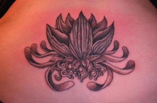15+ Best Lotus Flower Tattoos and Their Spiritual Significance