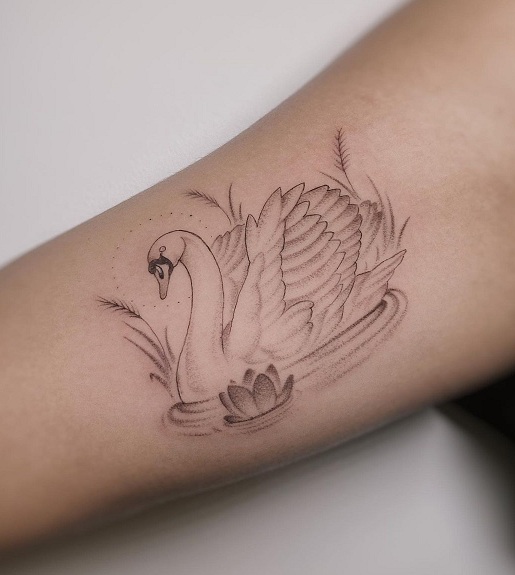 10+ Best Swan Tattoo Designs and Their Meanings