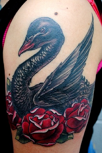 10+ Best Swan Tattoo Designs and Their Meanings
