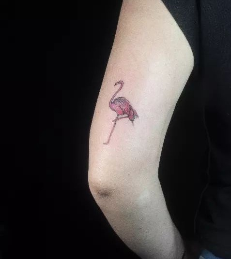 10 Stylish and Stunning Flamingo Bird Tattoo Designs